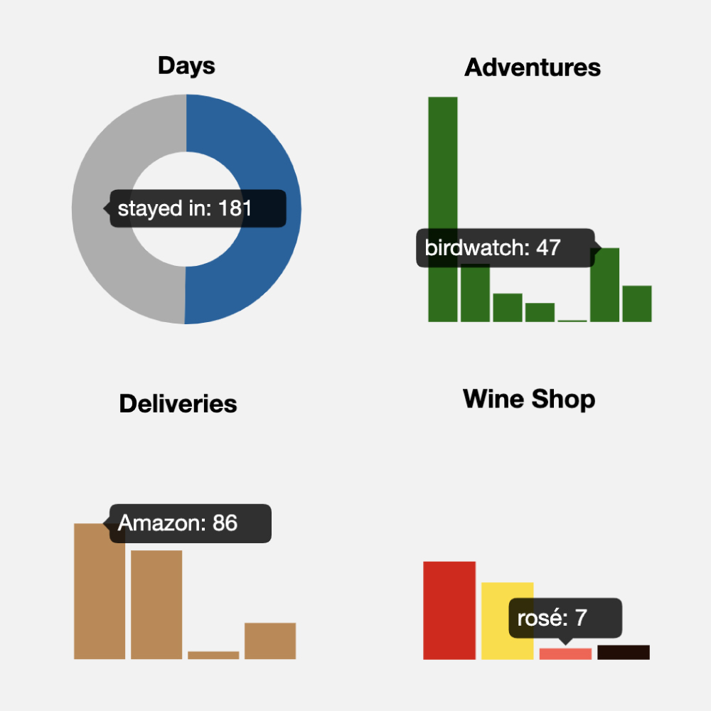 data: my small world year, documenting my first year of the pandemic